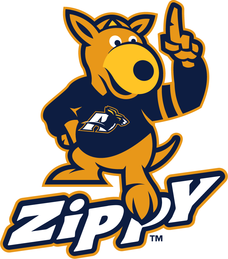 Akron Zips 2008-2015 Mascot Logo v2 DIY iron on transfer (heat transfer)